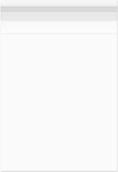 Plastic Zakken 11.9x16.2cm Transparant en Hersluitbaar (100 stuks) | Plastic zak
