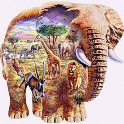 VDTOYS® DIAMOND PAINTING volwassenen - VDTVA076 - vierkante steentjes - full - groot formaat - nieuwe tekeningen - 45 op 45 cm (canvas) - 40 op 40 (foto)