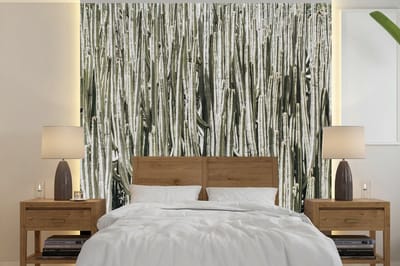 Behang - Fotobehang Cactus - Natuur - Vetplanten - Breedte 260 cm x hoogte 260 cm
