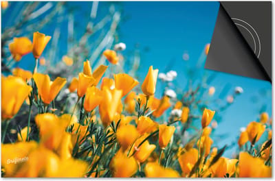 Inductie beschermer 60x60 - afdekplaat inductie mat - Dietrix Kookplaat beschermer - Exclusief - Bloemen en Planten - Gele bloemetjes