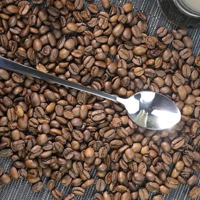 roestvrijstalen barlepels - longdrinklepels - lange lepels voor latte macchiato - ijslepels - cocktaillepels