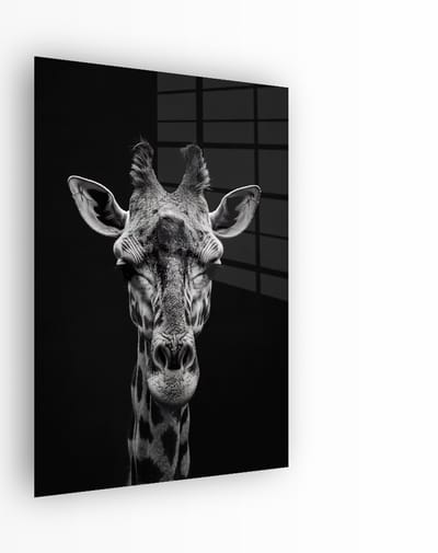 Indoorart - Glasschilderij Giraf Zwart Wit 40x60 CM - Afbeelding op plexiglas - Inclusief montagemateriaal