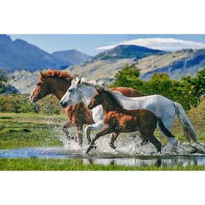 Paarden rennen op Otter Diamond borduurwerk handwerk Cross Stitch ronde Diamond schilderij 20X30CM gray