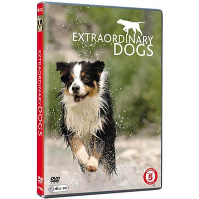 Extraordinary Dogs