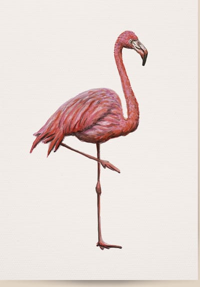 World of Mies poster flamingo - A4 - mooi dik papier - Snel verzonden! - tropisch - jungle - dieren in aquarel - geschilderd door Mies
