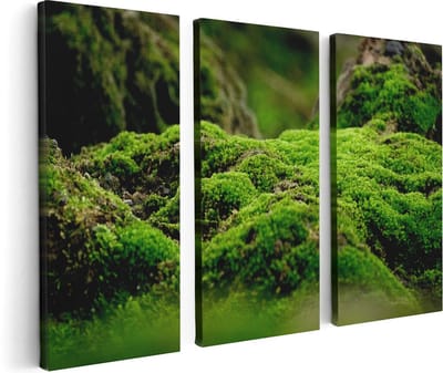 Artaza Canvas Schilderij Drieluik Groen Mos - 120x80 cm - Wanddecoratie Woonkamer - Schilderijen - Muurdecoratie