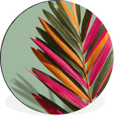 WallCircle - Wandcirkel - Muurcirkel - Tak - Bladeren - Kleurrijk - Schaduw - Aluminium - Dibond - 30x30 cm - Binnen en Buiten