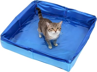 Vouwbare Paddling Pool voor Honden en Katten, Ideaal voor Kleine Honden en Puppies, 50 x 50 x 10 cm, Waterplezier voor Huisdieren, Draagbaar en Compact