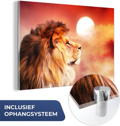 MuchoWow® Glasschilderij 60x40 cm - Schilderij acrylglas - Leeuwen - Zon - Rood - Foto op glas - Schilderijen