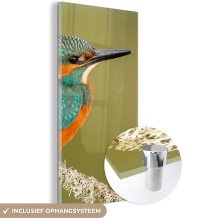 MuchoWow® Glasschilderij 20x40 cm - Schilderij acrylglas - IJsvogel - Dieren - Vogel - Foto op glas - Schilderijen