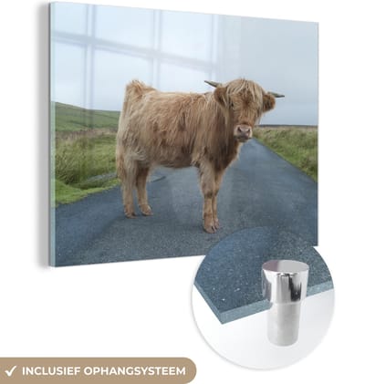 MuchoWow® Glasschilderij 160x120 cm - Schilderij acrylglas - Schotse Hooglander - Weg - Gras - Foto op glas - Schilderijen
