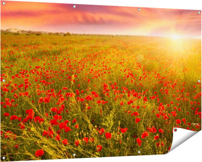 Gards Tuinposter Rode Klaproos Bloemenveld - Zonsondergang - 150x100 cm - Tuindoek - Tuindecoratie - Wanddecoratie buiten - Tuinschilderij