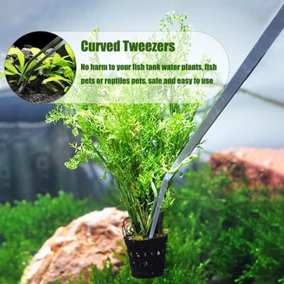 Pincet Set - Aquarium Gereedschap - Planten Onderhoud - RVS Gebogen Recht - 38 cm - Zilver