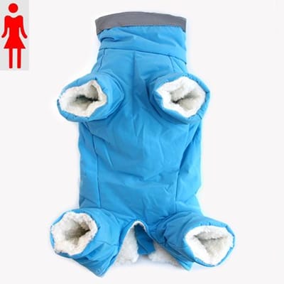 Nieuwe Winter Hondenjas Waterdicht Reflecterend Huisdierkleding Voor Kleine Honden Franse Bulldog Kerst Huisdieren Warme Kleding Puppy Chihuahua XS