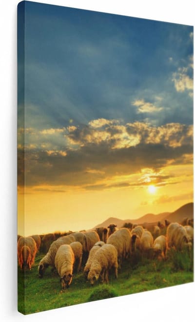 Artaza Canvas Schilderij Kudde Schapen - 30x40 cm - Klein - Wanddecoratie Dieren - Muurdecoratie Weiland - Schilderijen Op Canvas