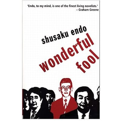 Wonderful Fool - Mike Endicott