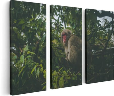 Artaza Canvas Schilderij Drieluik Aap In De Boom Tussen De Bladeren - 120x80 - Foto Op Canvas - Canvas Print