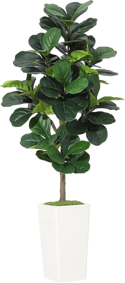 Grote Kunstplant Vioolbladplant (Ficus Lyrata) - 150 cm - Inclusief Moderne Pot met Mos - Levensecht & Onderhoudsvrij - Groen
