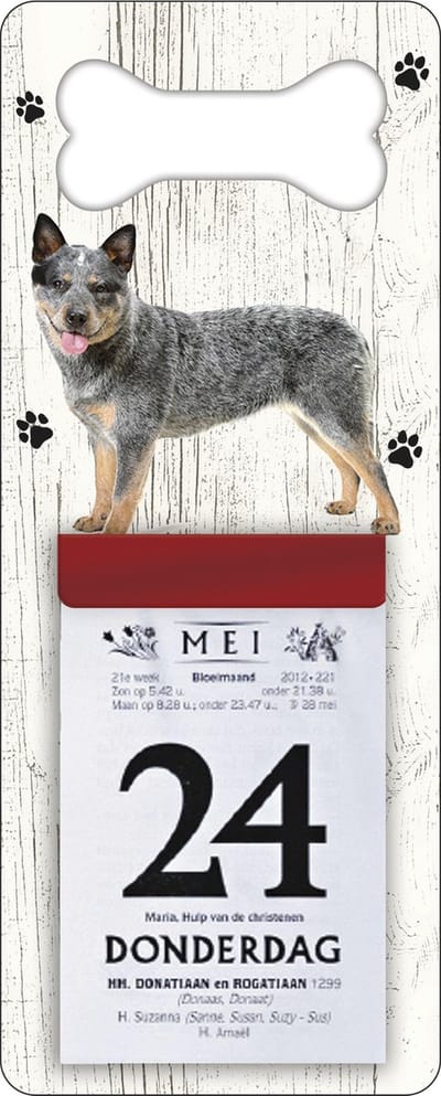 Scheurkalender 2027 Hond: australien cat dog
