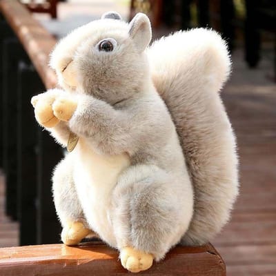 Wilde Dieren Bank Decoratie Eet Noten Huisdecoratie Eekhoorn    Dier  Knuffel Eekhoorn gray