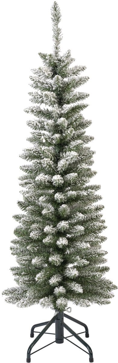 Pencil pine snowy green/white dia45.00-h150.00cm