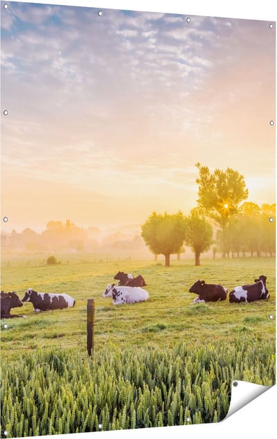 Gards Tuinposter Koeien in de Wei tijdens Zonsopgang - 120x160 cm - Tuindoek - Tuindecoratie - Wanddecoratie buiten - Tuinschilderij