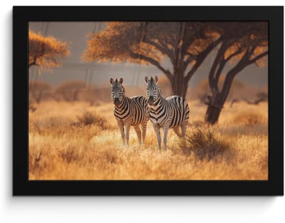 Poster in lijst - Fotolijst 30x20 cm - Posters - Zebra's - Savannelandschap - Gras - Posterlijst zwart - Decoratie - Wanddecoratie woonkamer - Muurdecoratie slaapkamer