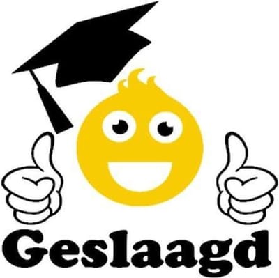 Sticker raam geslaagd smiley geel zwart 30 x 30 cm | Rosami