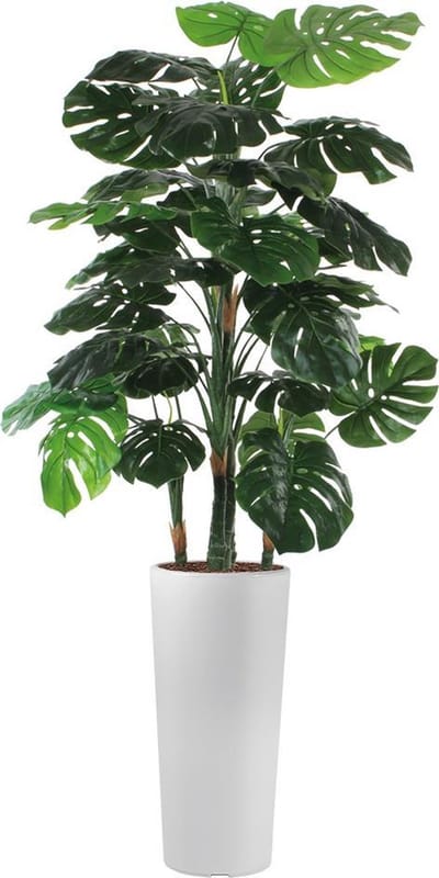 HTT - Kunstplant Monstera in Clou rond wit H195 cm