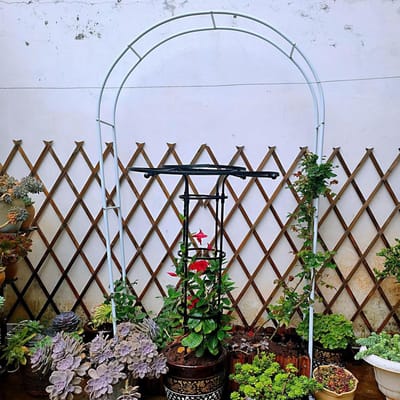 Rozenboog - Tuinboog Decoratie - Planten Ondersteunen - Bruiloft Decoratie - 350x220 cm - Wit