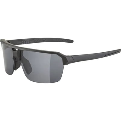 Zonnebrillen Alpina Swift HR Black Matt/Black