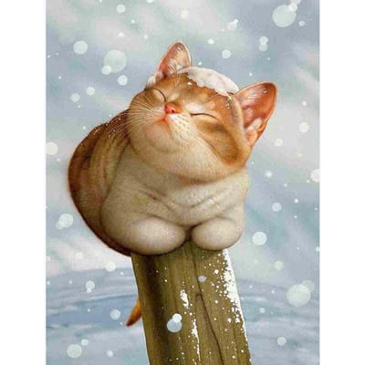 5D Diamond Painting volledige ronde Cartoon kat Crysta Animal Kit DIY steekboor kruissteek 20X30CM beige