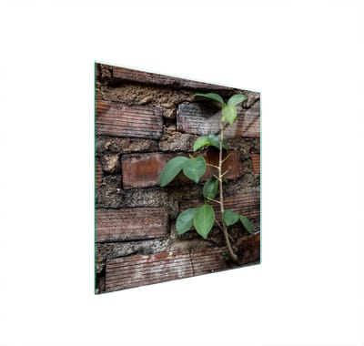 TMK ArtDeko Serie - Glasbeschermplaat voor fornuis - 50x52 cm - Hittebestendig - Sprekende Kleuren