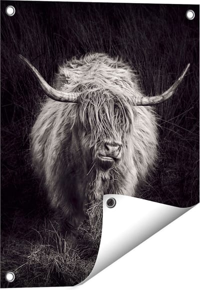 Gards Tuinposter Schotse Hooglander Koe - Zwart Wit - 40x50 cm - Tuindoek - Tuindecoratie - Wanddecoratie buiten - Tuinschilderij