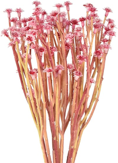 Currykruid Immortelle Kunstroze L28cm 12 stuks 1 bos