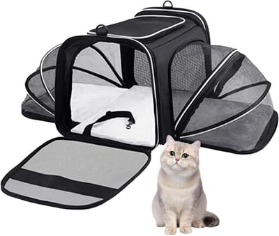 Draagtas Huisdieren - Reistas Katten - Comfortabel Reizen - Uitbreidbaar Ontwerp - 44 x 28 x 7 cm - Zwart