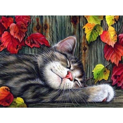 Foret rond complet diamant broderie un chat endormi 5D bricolage diamant peinture point de croix strass 20X30CM black