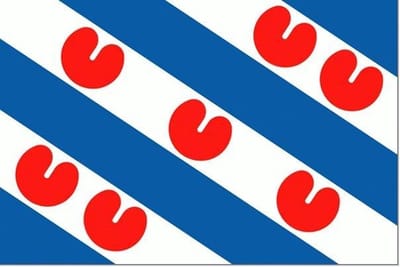 Vlaggetje Friesland 20x30cm