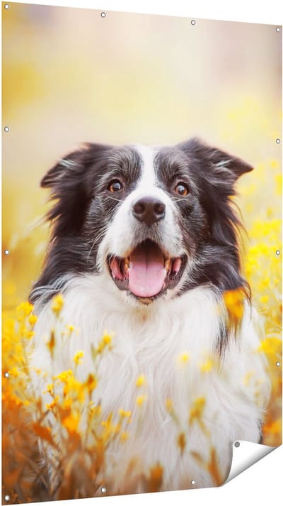 Gards Tuinposter Blije Hond tussen de Bloemen - 120x180 cm - Tuindoek - Tuindecoratie - Wanddecoratie buiten - Tuinschilderij