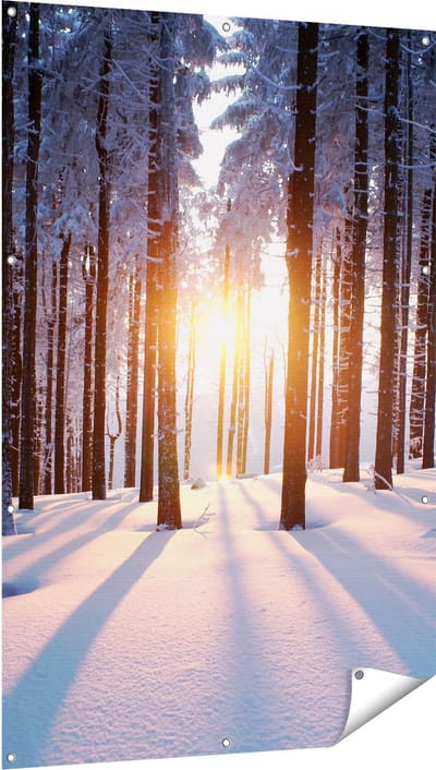 Gards Tuinposter Bos met Sneeuw tijdens de Zonsondergang - 100x150 cm - Tuindoek - Tuindecoratie - Wanddecoratie buiten - Tuinschilderij
