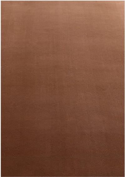 Laagpolig vloerkleed Sky (bruin) - 160x230 cm