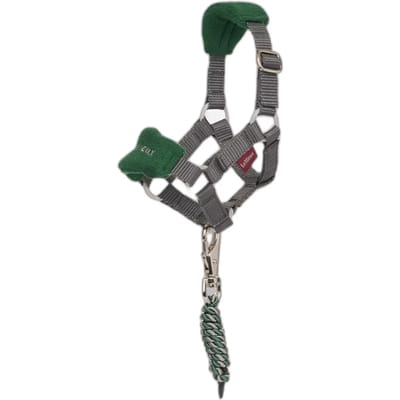 Halsband en longe voor knuffel LeMieux Toy Pony Vogue