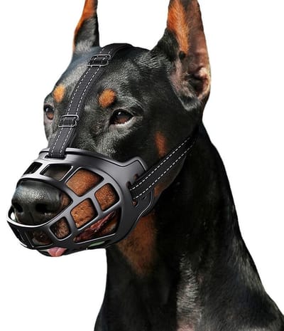 Hondenmuilkorf – Ademende korfmuilkorf | Voor kleine, middelgrote en grote honden | Verstelbaar | Voorkomt bijten en destructief kauwen | Maakt hijgen en drinken mogelijk (Zacht rubbermateriaal, Maat 2 – Geschikt voor honden van 10–17,5 kg)