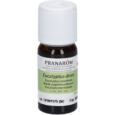 Pranarôm Essentiële Olie Eucalyptus-Munt 10 Etherische olie