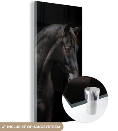 MuchoWow® Glasschilderij 20x40 cm - Schilderij acrylglas - Paard - Dier - Zwart - Foto op glas - Schilderijen