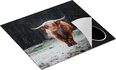 Chefcare Inductie Beschermer Schotse Hooglander bij het Bos - 60x50 cm - Afdekplaat Inductie - Kookplaat Beschermer - Inductie Mat