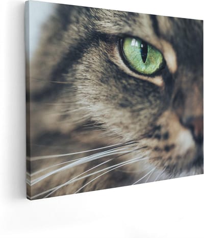 Artaza Canvas Schilderij Kat Groene Ogen - 50x40 cm - Muurdecoratie Dierenkop - Wanddecoratie Woonkamer - Kamer Accessoires