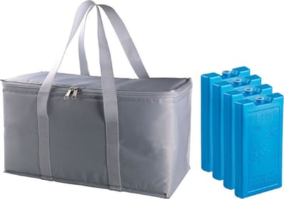Grote isolatie koeltas zilver/grijs 39 x 22 x 19 cm met 4x stuks blauwe koelelementen