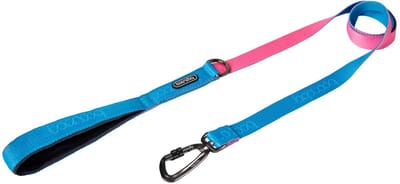 Boondog Hondenriem 1.4m - Sterke Nylon Riem - Comfortabele Grip - Lichtgewicht Karabijnhaak - Voor Dagelijks Gebruik - Aqua/Pink - Maat S
