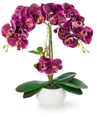 PASCH Art orchid in shiny ceramic pot (40 cm) | Like a real flower